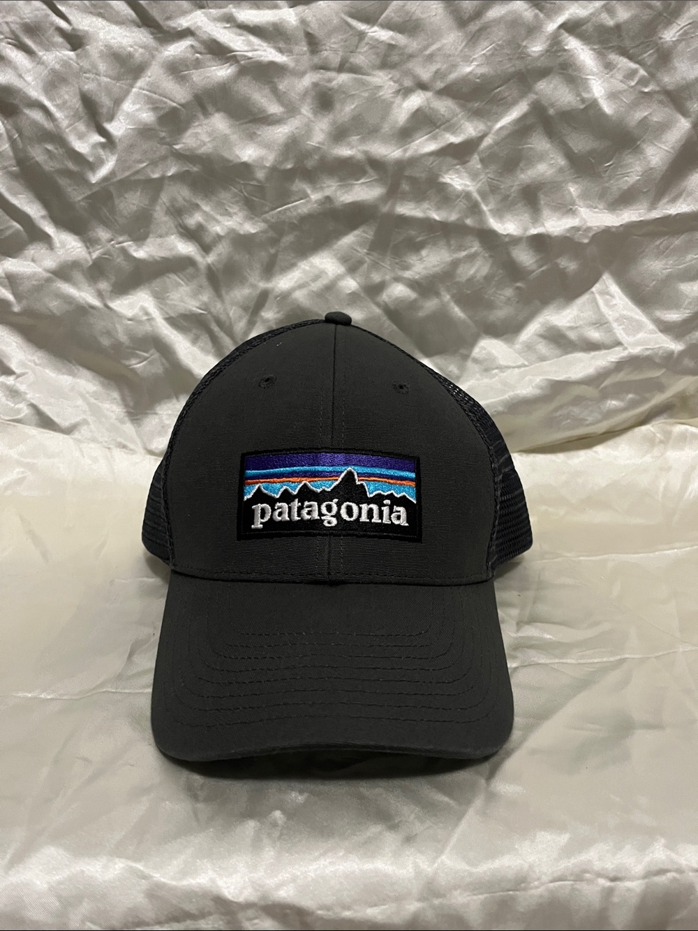 Patagonia baseball hat in new condition.